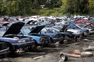 How a Car Junkyard is Good for the Environment